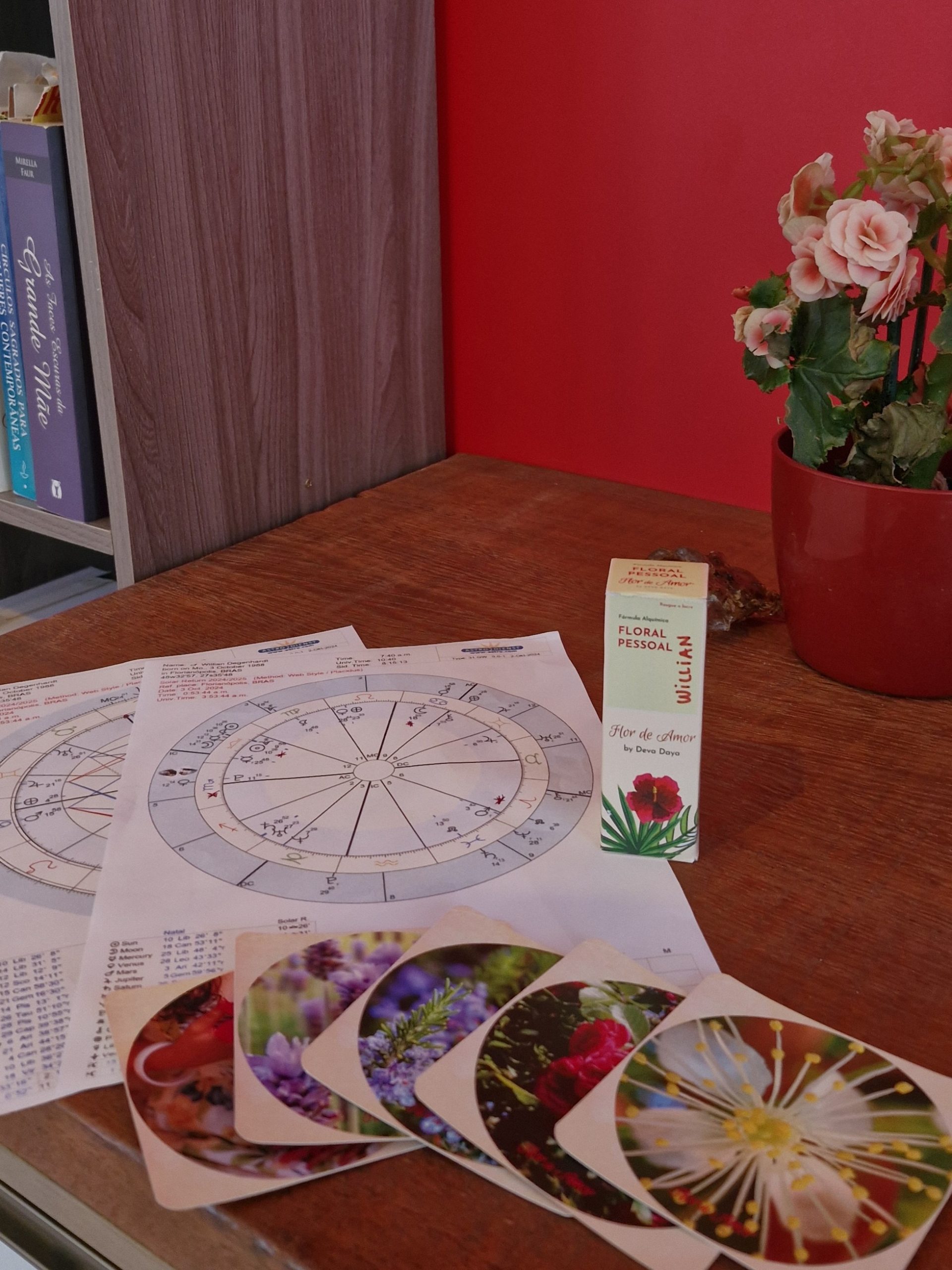 atelier alquímico floral